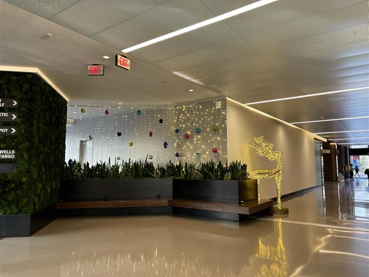 Corporate Holiday Lighting